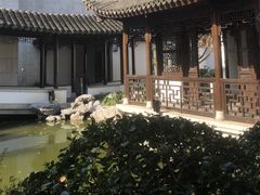 -秋霞圃