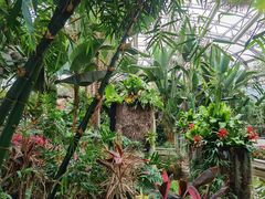 -北京植物园-展览温室
