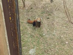-沈阳森林动物园