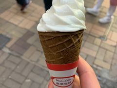 -富豪雪糕车流动点(尖沙咀店)