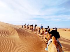 -银肯塔拉沙漠生态旅游景区