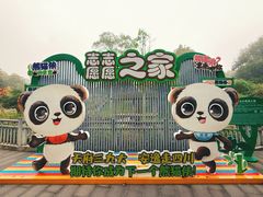 -中国大熊猫保护研究中心雅安碧峰峡基地