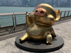 -星光大道