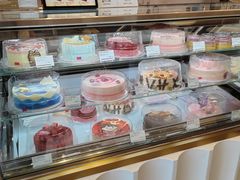 -哈根达斯(深圳海岸城店)