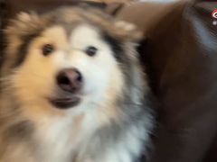 -潇湘阁(昆泰国际大厦店)