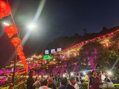 -枇杷园食为鲜火锅(南山店)