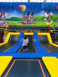 -爱丽丝奇幻乐园