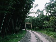 -黄公望隐居地