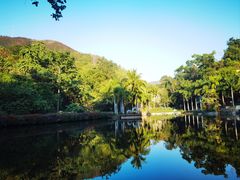 -西双版纳原始森林公园