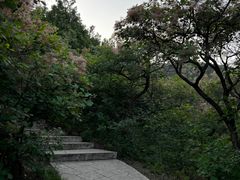 -北京西山国家森林公园