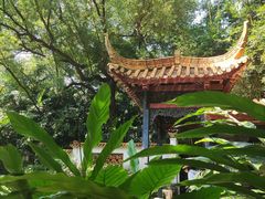 -广州兰圃