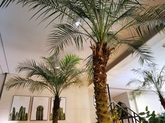 -HFFOUSA TACO弗萨塔可墨西哥餐厅(颐堤港店)