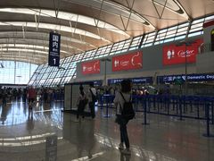 -上海浦东国际机场-T2航站楼