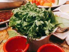 -额尔敦传统涮(公园西路店)