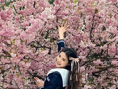 -南山植物园