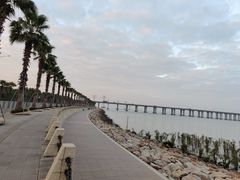 -宝安西湾红树林湿地公园