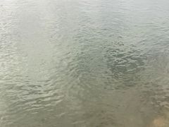 -万泉河漂流