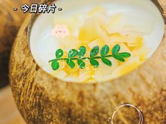 -豆豆冰室·地道招牌椰子冻(大良店)