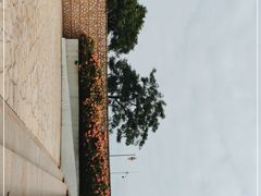 -深圳湾公园-停车场