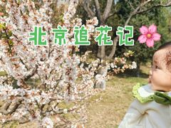 -望湖公园
