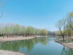 -东郊湿地公园
