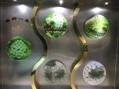 -上海昆虫博物馆