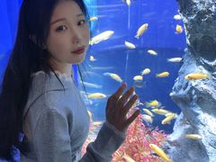 -福州罗源湾海洋世界旅游区