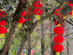 -人民公园(罗湖区)