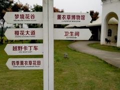 -紫颐香薰山谷景区