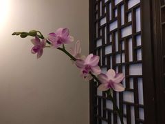 -云来集茶舍(国子监街店)