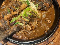 -老板恋上鱼(恒隆广场店)