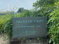 -中国茶叶博物馆(双峰馆区)