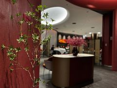 -拾宴(汇智国际商业中心店)