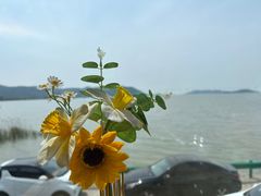 -湖山人家·湖景餐厅·特色农家菜(太湖西山店)