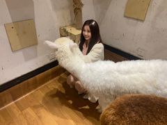 -猫色咖啡·猫咖