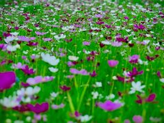 -北沙滩(地铁站)