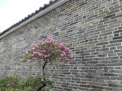 -九龙寨城公园