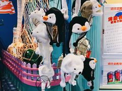 -多彩贵州城极地海洋世界