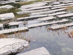 -大望京公园