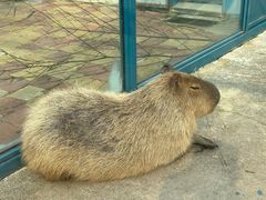 -大连森林动物园