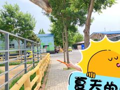 -龙口动植物园