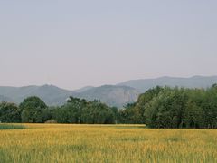 -良渚古城遗址公园