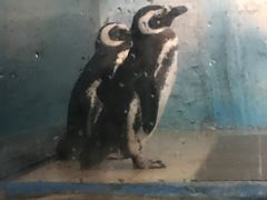 -常州海昌海洋探索馆