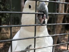 -费瑟代尔野生动物园