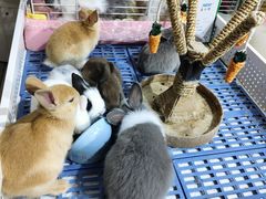 -三旗百汇商品城