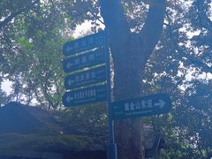 -紫金山山顶公园