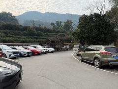 -杨家堂村