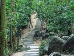-火炉山森林公园