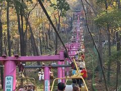 -帽儿山风景区