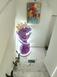 -海涛医疗美容·面部抗衰·注射美鼻